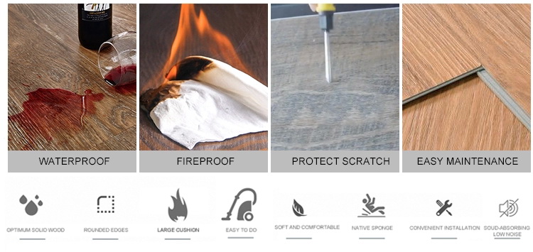 H15E8DD52DA6B4C5C8F00FF324254BB176.JPG_